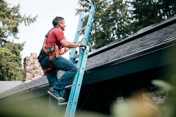 Professional Roof Repair & Installaion in Tatamy, PA